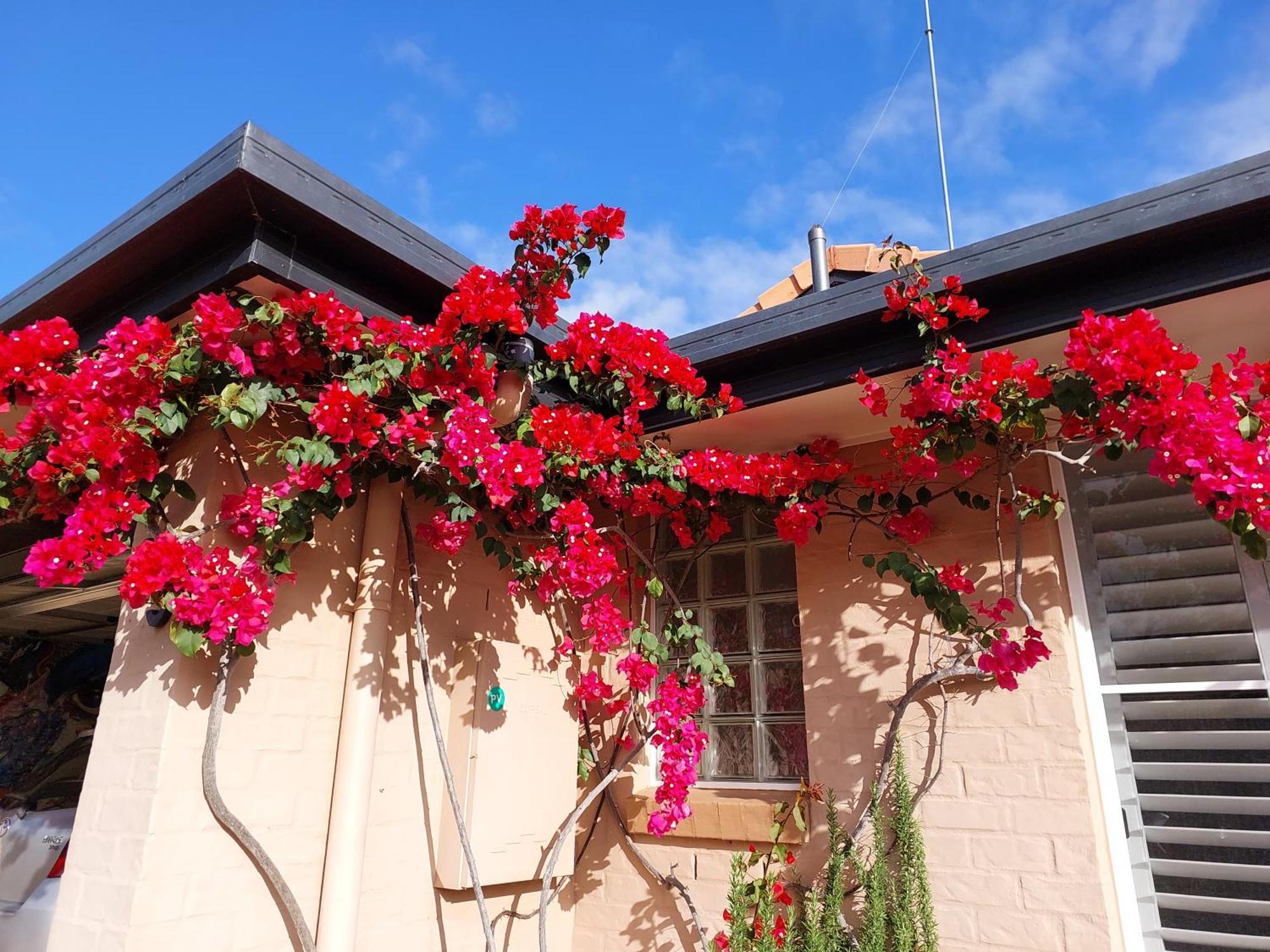 Summerhouses Noosaville Esterno foto